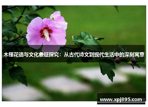 木槿花语与文化象征探究：从古代诗文到现代生活中的深刻寓意