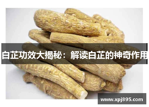 白芷功效大揭秘：解读白芷的神奇作用