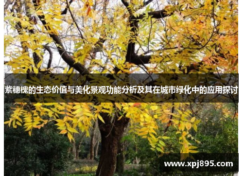 紫穗槐的生态价值与美化景观功能分析及其在城市绿化中的应用探讨