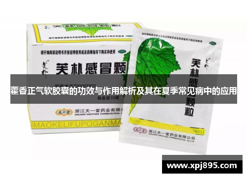藿香正气软胶囊的功效与作用解析及其在夏季常见病中的应用