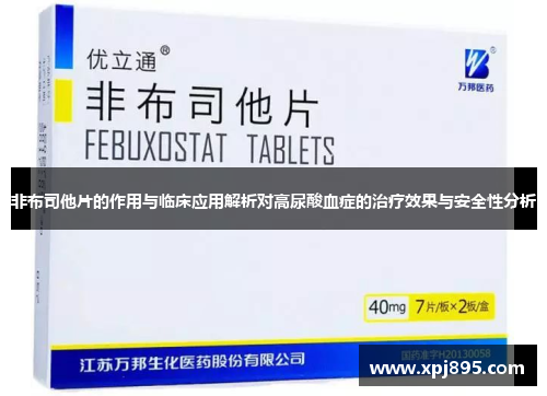 非布司他片的作用与临床应用解析对高尿酸血症的治疗效果与安全性分析