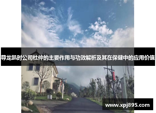 尊龙凯时公司杜仲的主要作用与功效解析及其在保健中的应用价值