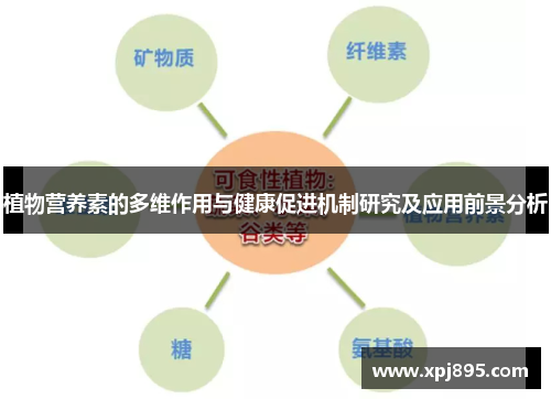 植物营养素的多维作用与健康促进机制研究及应用前景分析